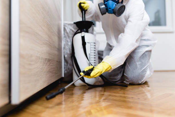 Best Cockroach Control Services  in Watertown, SD