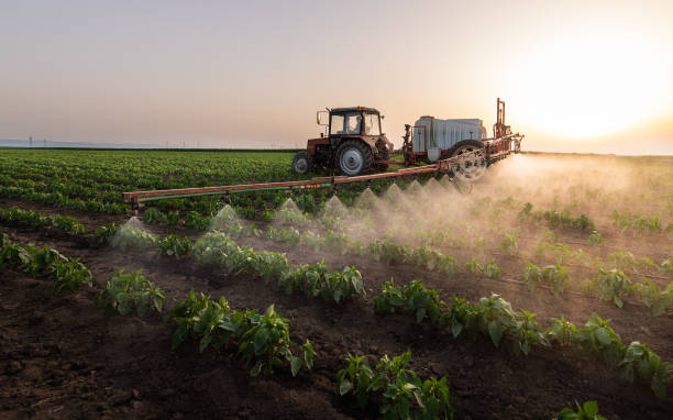 Best Commercial Pest Control Services  in Watertown, SD