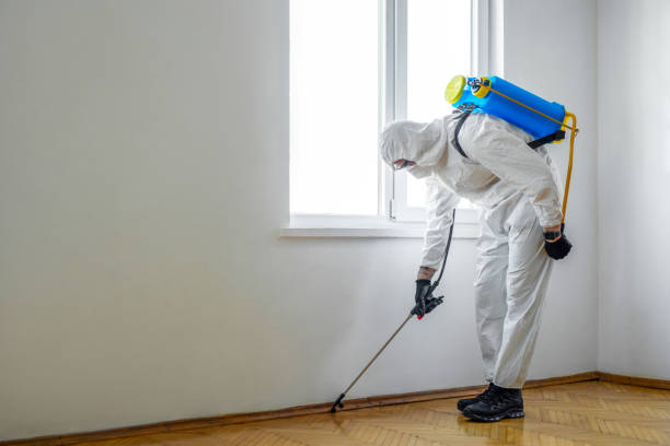 Best Affordable Pest Control Services  in Watertown, SD