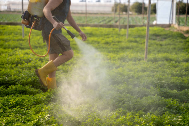Pest Control for Restaurants in Watertown, SD