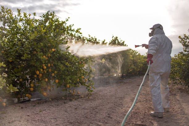 Best Flea Control Services  in Watertown, SD