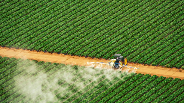 Best Termite Control Services  in Watertown, SD