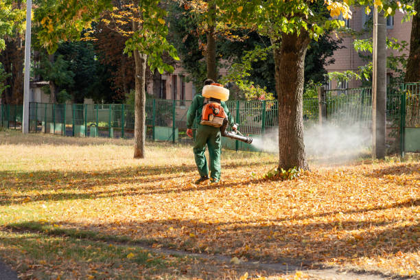 Flea Control Services in Watertown, SD