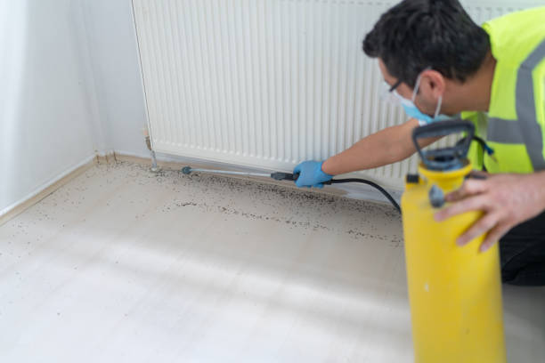 Reliable Watertown, SD Pest Control Solutions