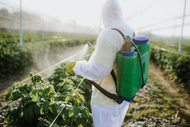 Insect Control in Watertown, SD